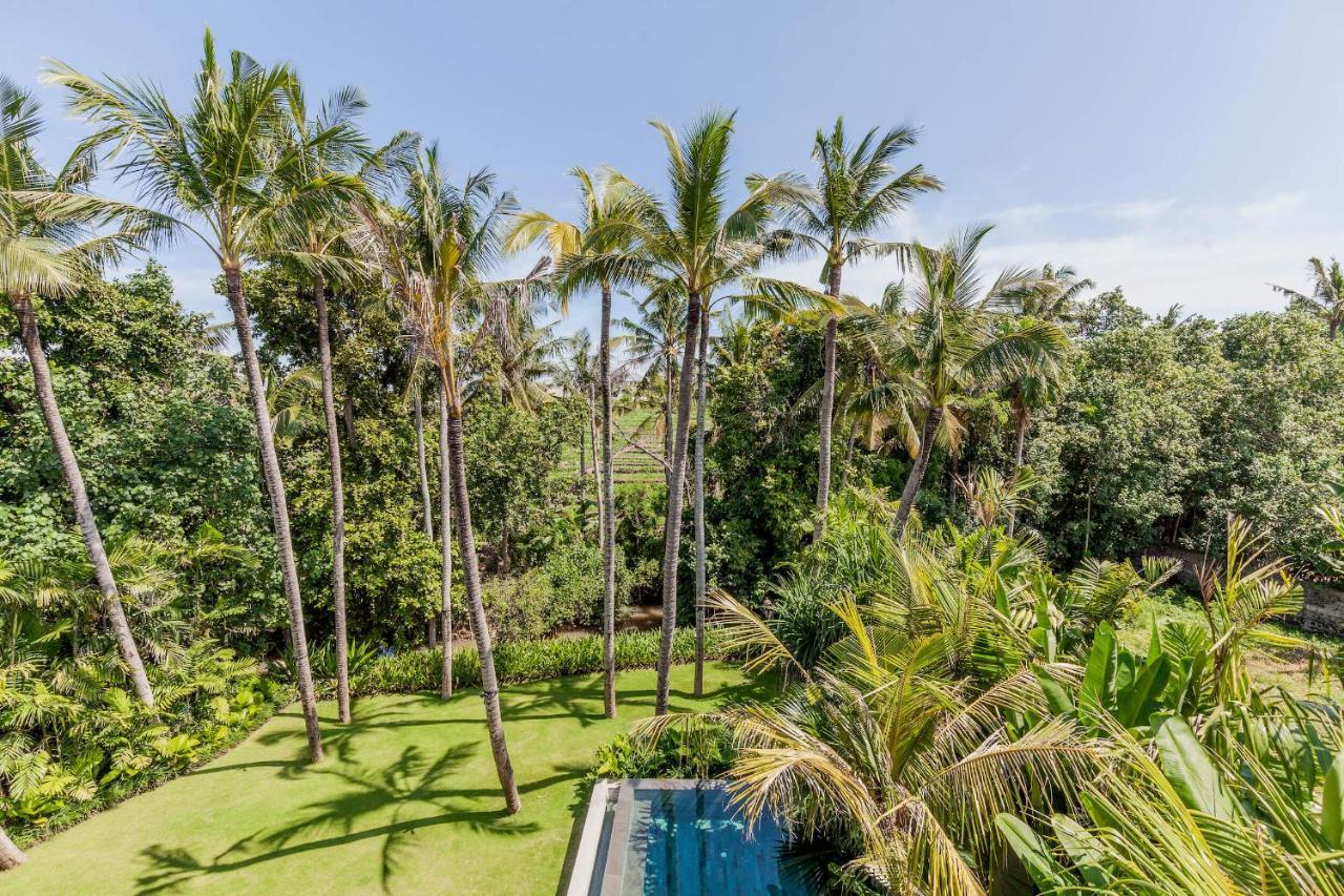 Designer Heaven in Perenenan Villa Canggu Eksteriør billede